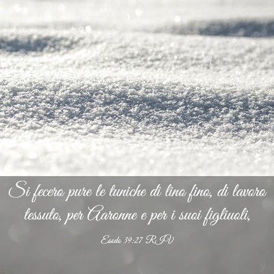 Picture 03 - Esodo 39:27 RIV - Si fecero pure le tuniche di lino fino, di lavoro - Bible Verse Picture