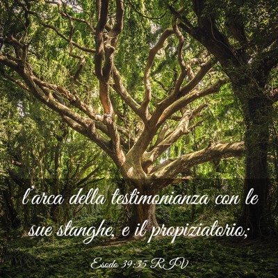 Picture 03 - Esodo 39:35 RIV - l’arca della testimonianza con le sue stanghe, - Bible Verse Picture