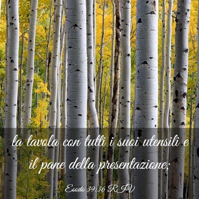 Picture 03 - Esodo 39:36 RIV - la tavola con tutti i suoi utensili e il pane - Bible Verse Picture