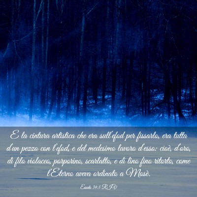 Picture 03 - Esodo 39:5 RIV - E la cintura artistica che era sull’efod per - Bible Verse Picture