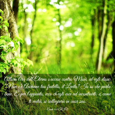 Picture 03 - Esodo 4:14 RIV - Allora l’ira dell’Eterno s’accese contro - Bible Verse Picture