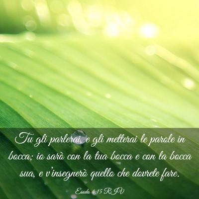 Picture 03 - Esodo 4:15 RIV - Tu gli parlerai, e gli metterai le parole in - Bible Verse Picture
