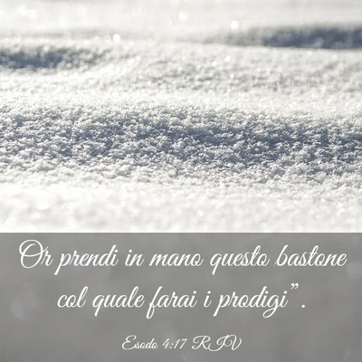 Picture 03 - Esodo 4:17 RIV - Or prendi in mano questo bastone col quale farai - Bible Verse Picture