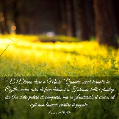 Picture 03 - Esodo 4:21 RIV - E l’Eterno disse a Mosè: “Quando sarai - Bible Verse Picture