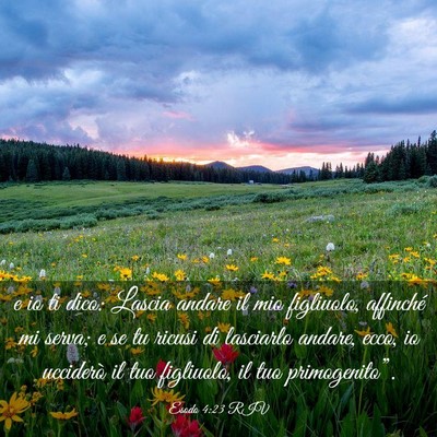Picture 03 - Esodo 4:23 RIV - e io ti dico: Lascia andare il mio figliuolo, - Bible Verse Picture