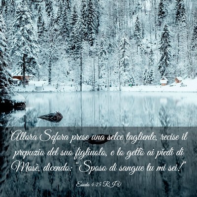 Picture 03 - Esodo 4:25 RIV - Allora Sefora prese una selce tagliente, recise - Bible Verse Picture