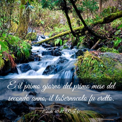 Picture 03 - Esodo 40:17 RIV - E il primo giorno del primo mese del secondo - Bible Verse Picture