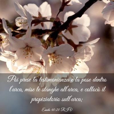 Picture 03 - Esodo 40:20 RIV - Poi prese la testimonianza e la pose dentro - Bible Verse Picture