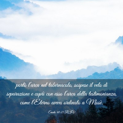 Picture 03 - Esodo 40:21 RIV - portò l’arca nel tabernacolo, sospese il velo - Bible Verse Picture