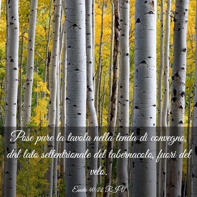 Picture 03 - Esodo 40:22 RIV - Pose pure la tavola nella tenda di convegno, dal - Bible Verse Picture