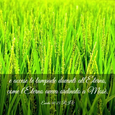 Picture 03 - Esodo 40:25 RIV - e accese le lampade davanti all’Eterno, come - Bible Verse Picture