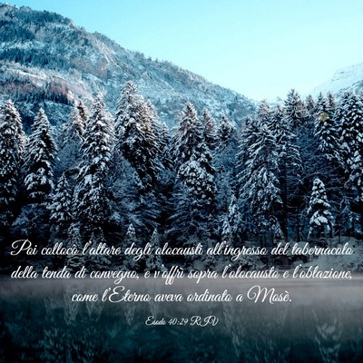 Picture 03 - Esodo 40:29 RIV - Poi collocò l’altare degli olocausti - Bible Verse Picture
