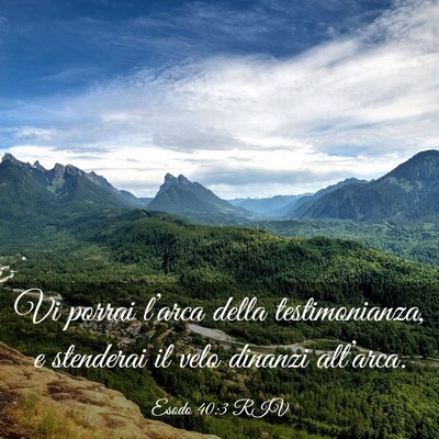 Picture 03 - Esodo 40:3 RIV - Vi porrai l’arca della testimonianza, e - Bible Verse Picture