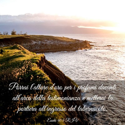 Picture 03 - Esodo 40:5 RIV - Porrai l’altare d’oro per i profumi davanti - Bible Verse Picture