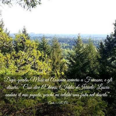Picture 03 - Esodo 5:1 RIV - Dopo questo, Mosè ed Aaronne vennero a Faraone, - Bible Verse Picture