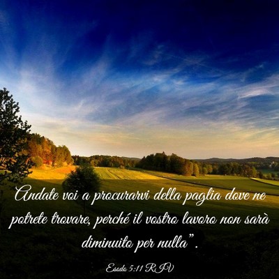Picture 03 - Esodo 5:11 RIV - Andate voi a procurarvi della paglia dove ne - Bible Verse Picture