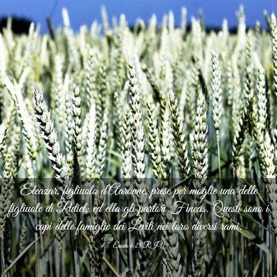 Picture 03 - Esodo 6:25 RIV - Eleazar, figliuolo d’Aaronne, prese per moglie - Bible Verse Picture