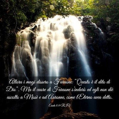 Picture 03 - Esodo 8:19 RIV - Allora i magi dissero a Faraone: “Questo è il - Bible Verse Picture