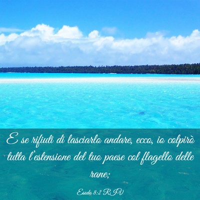 Picture 03 - Esodo 8:2 RIV - E se rifiuti di lasciarlo andare, ecco, io - Bible Verse Picture