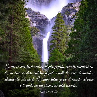 Picture 03 - Esodo 8:21 RIV - Se no, se non lasci andare il mio popolo, ecco io - Bible Verse Picture