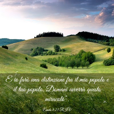 Picture 03 - Esodo 8:23 RIV - E io farò una distinzione fra il mio popolo e il - Bible Verse Picture