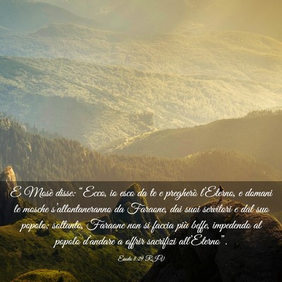 Picture 03 - Esodo 8:29 RIV - E Mosè disse: “Ecco, io esco da te e pregherò - Bible Verse Picture