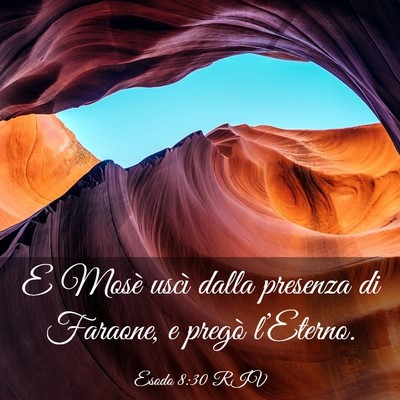 Picture 03 - Esodo 8:30 RIV - E Mosè uscì dalla presenza di Faraone, e pregò - Bible Verse Picture