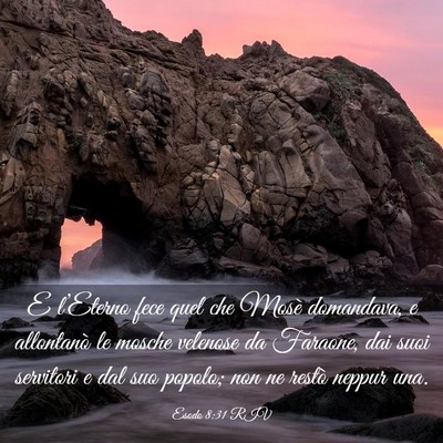 Picture 03 - Esodo 8:31 RIV - E l’Eterno fece quel che Mosè domandava, e - Bible Verse Picture