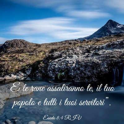 Picture 03 - Esodo 8:4 RIV - E le rane assaliranno te, il tuo popolo e tutti i - Bible Verse Picture