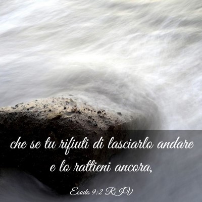 Picture 03 - Esodo 9:2 RIV - che se tu rifiuti di lasciarlo andare e lo - Bible Verse Picture