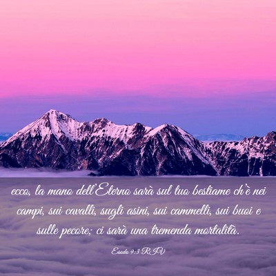 Picture 03 - Esodo 9:3 RIV - ecco, la mano dell’Eterno sarà sul tuo - Bible Verse Picture