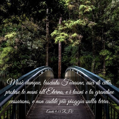 Picture 03 - Esodo 9:33 RIV - Mosè dunque, lasciato Faraone, uscì di città, - Bible Verse Picture