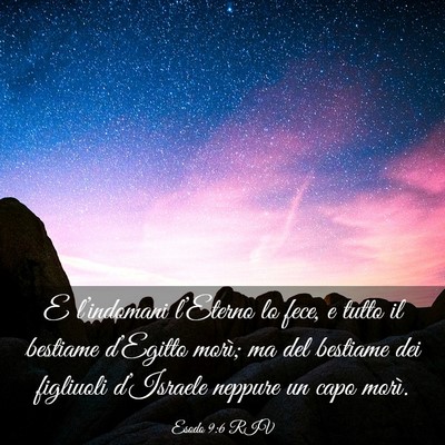 Picture 03 - Esodo 9:6 RIV - E l’indomani l’Eterno lo fece, e tutto il - Bible Verse Picture