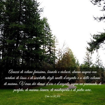 Picture 03 - Ester 1:6 RIV - Arazzi di cotone finissimo, bianchi e violacei, - Bible Verse Picture