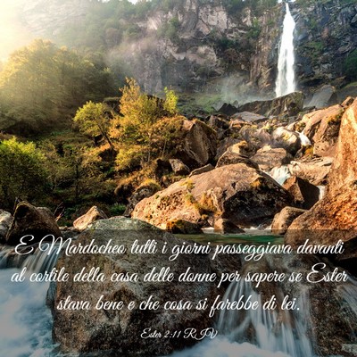 Picture 03 - Ester 2:11 RIV - E Mardocheo tutti i giorni passeggiava davanti al - Bible Verse Picture