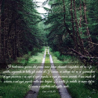 Picture 03 - Ester 3:12 RIV - Il tredicesimo giorno del primo mese furon - Bible Verse Picture
