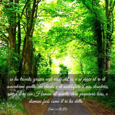 Picture 03 - Ester 5:8 RIV - se ho trovato grazia agli occhi del re, e se - Bible Verse Picture