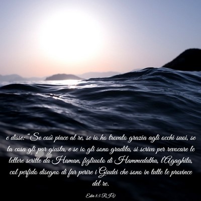 Picture 03 - Ester 8:5 RIV - e disse: “Se così piace al re, se io ho - Bible Verse Picture