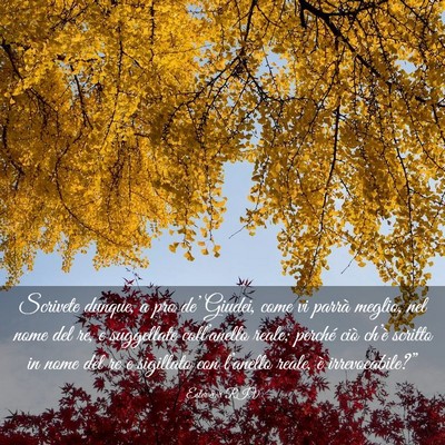 Picture 03 - Ester 8:8 RIV - Scrivete dunque, a pro de’ Giudei, come vi - Bible Verse Picture