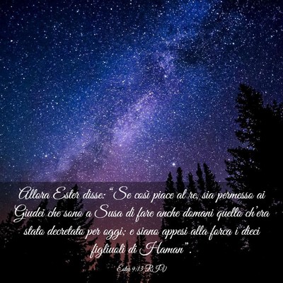 Picture 03 - Ester 9:13 RIV - Allora Ester disse: “Se così piace al re, sia - Bible Verse Picture