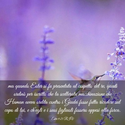 Picture 03 - Ester 9:25 RIV - ma quando Ester si fu presentata al cospetto del - Bible Verse Picture