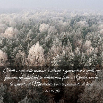 Picture 03 - Ester 9:3 RIV - E tutti i capi delle province, i satrapi, i - Bible Verse Picture