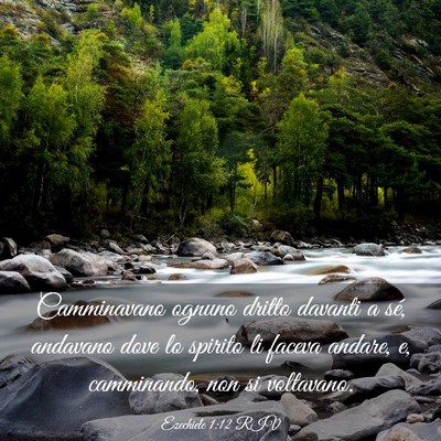 Picture 03 - Ezechiele 1:12 RIV - Camminavano ognuno dritto davanti a sé, andavano - Bible Verse Picture