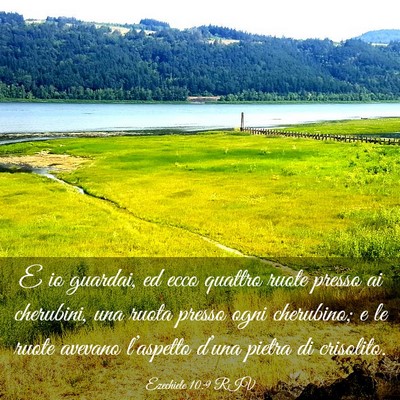 Picture 03 - Ezechiele 10:9 RIV - E io guardai, ed ecco quattro ruote presso ai - Bible Verse Picture