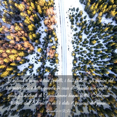 Picture 03 - Ezechiele 11:15 RIV - “Figliuol d’uomo, i tuoi fratelli, i tuoi - Bible Verse Picture