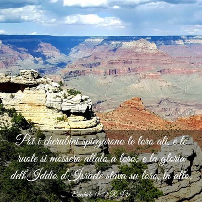 Picture 03 - Ezechiele 11:22 RIV - Poi i cherubini spiegarono le loro ali, e le - Bible Verse Picture