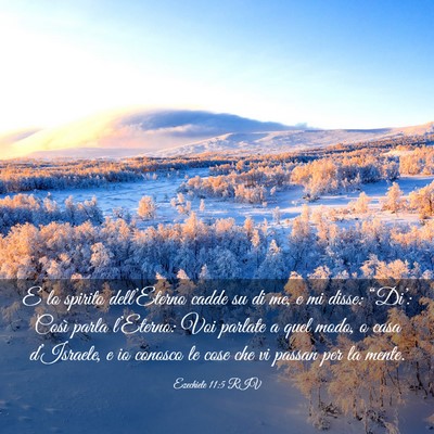 Picture 03 - Ezechiele 11:5 RIV - E lo spirito dell’Eterno cadde su di me, e mi - Bible Verse Picture