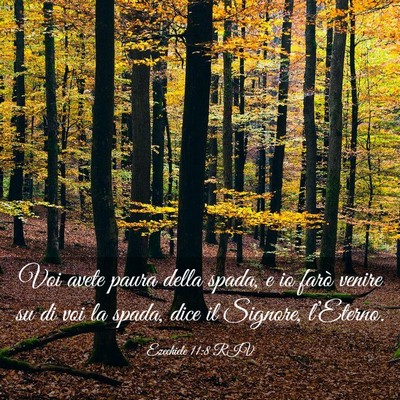 Picture 03 - Ezechiele 11:8 RIV - Voi avete paura della spada, e io farò venire su - Bible Verse Picture
