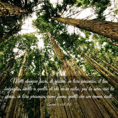 Picture 03 - Ezechiele 12:4 RIV - Metti dunque fuori, di giorno, in loro presenza, - Bible Verse Picture