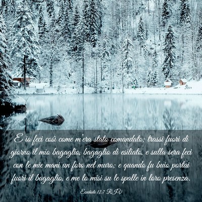 Picture 03 - Ezechiele 12:7 RIV - E io feci così come m’era stato comandato; - Bible Verse Picture